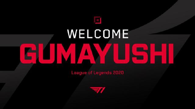 的职业篮球 的职业篮球