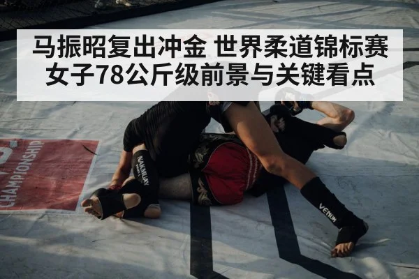 judo competition match | kaiyun